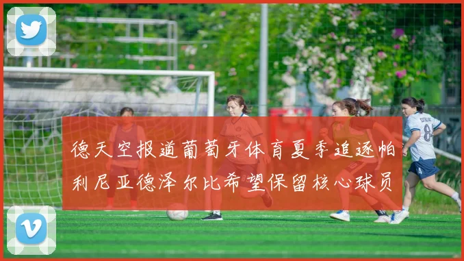 德天空报道葡萄牙体育夏季追逐帕利尼亚德泽尔比希望保留核心球员