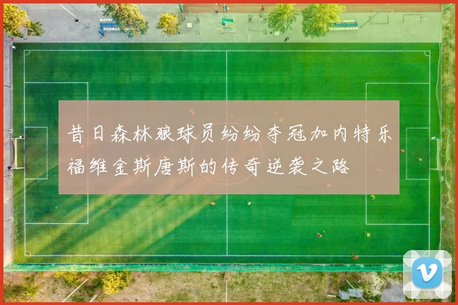 昔日森林狼球员纷纷夺冠加内特乐福维金斯唐斯的传奇逆袭之路